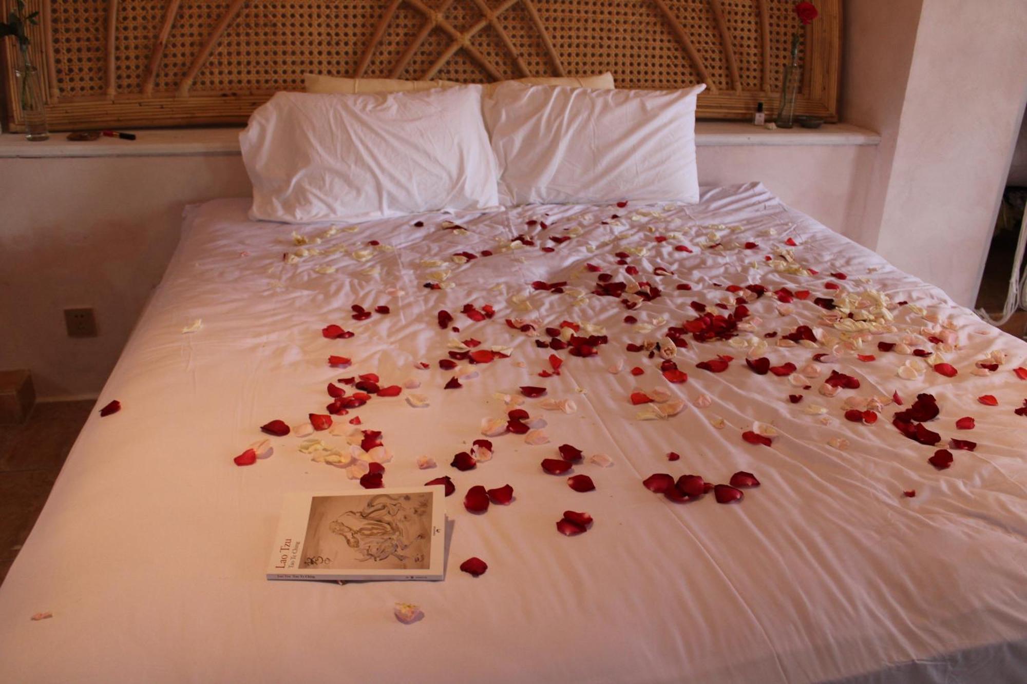 Bed & Breakfast The Ivy Boutique Ubud